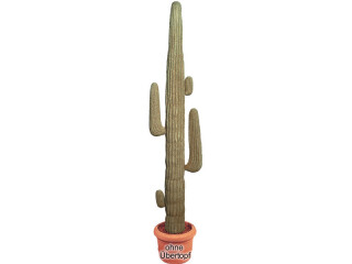 cactus du mexique naturel beige h 180cm, plastique