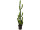 Fingerkaktus H 136cm getopft