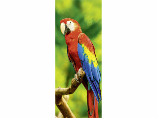 bannière textile perroquet 75 x 180cm