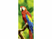 textile banner parrot 75 x 180cm