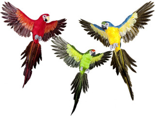 perroquet "Lara" volant 60 x 55cm en diff. couleurs
