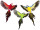 Papagei "Lara" fliegend 60 x 55cm in versch. Farben