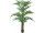 palmier kentia en pot h 270cm