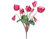 cyclamen cerise 9 fleuraisons 40cm