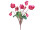 cyclamen cerise 9 fleuraisons 40cm