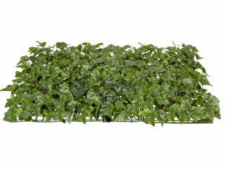 Efeuplatte XL grün 78 x 52 x H 8cm, 222 Blätter