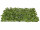 Efeuplatte XL grün 78 x 52 x H 8cm, 222 Blätter