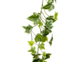 Efeugirlande Natural 180cm grün-weiss, 98 Blätter 3,5 - 6,5cm