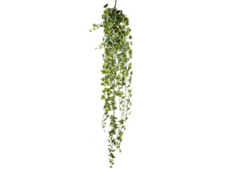 Efeuhänger Natural 180cm grün-weiss, 423 Blätter 3,5-6,5cm