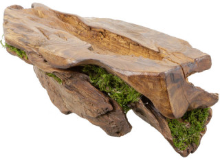 Edelholz-Stück mit Moos. braun, B 39 x T 15 x H 13cm