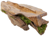 Edelholz-Stück mit Moos. braun, B 39 x T 15 x H 13cm