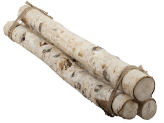 Birkenstämme gebündelt dick L 66 cm, 3 Stämme Ø 5 - 9cm