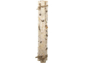 Birkenstämme gebündelt dick L 66 cm, 3...