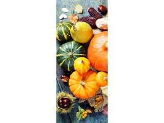 textile banner "pumpkin mix" 75 x 180cm