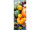 Textilbanner "Kürbis-Mix" 75x180cm