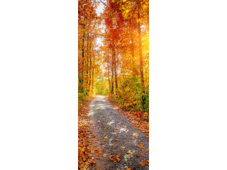 Textilbanner Herbstwaldweg 75x180cm, orange/bunt Schlauchnaht oben+unten