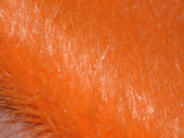 Grasmatte "langflor" 130cm orange