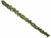 Tannenranke Nordmann 144Tips grün, 180cm
