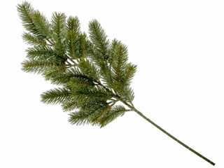 Tannenzweig Nordmann 28 Tips grün, L 65 x B 30 cm