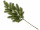 Tannenzweig Nordmann 28 Tips grün, L 65 x B 30 cm
