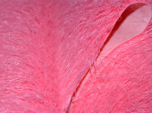 tapis de gazon "poil long" 130cm rose vif