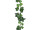 guirlande de lierre petites feuilles 180cm