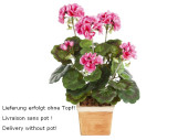 Geraniumbusch pink zum Stecken H 33cm, 37 Blätter, 6...