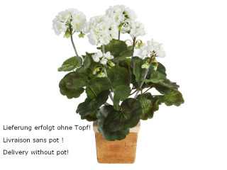 Geraniumbusch weiss zum Stecken H 33cm, 37 Blätter, 6 Blüten (ohne Topf)