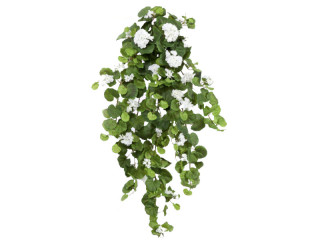 Geraniumbusch weiss hängend L 90cm, 269 Blätter, 23 Blüten