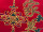 China-Lampion traditionell rot/gold, mit Aufdruck, Ø 90cm