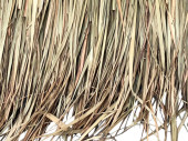 Palmblatt-Paneele 120 x 80cm Naturmaterial