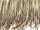 Palmblatt-Paneele 110 x 80cm Naturmaterial