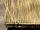 Palmblatt-Paneele 110 x 80cm Naturmaterial