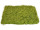 grass panel "wood wool" green