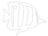 Display 2D "Falterfisch" weiss, MDF 3mm, B 30 x...