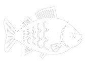 Display 2D Fisch weiss, MDF 3mm, B 30 x H 24cm, zum...
