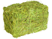 bales of straw green in various sizes