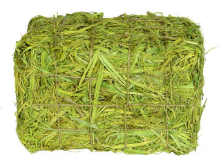 bales of straw green 22x13x12cm