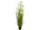 buisson de roseaux "fleurs en éventail" h 150cm, Ø 70cm en pot