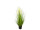 buisson de roseaux "longue fleur" vert/blanc, h 100cm, Ø 50cm en pot