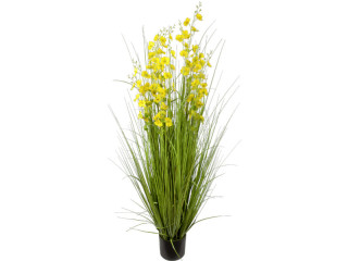 reed grass bush "yellow flower" h 150cm, Ø 80cm potted