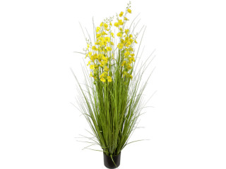 buisson de roseaux "fleur jaune" h 150cm, Ø 80cm en pot