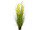buisson de roseaux "fleur jaune" h 150cm, Ø 80cm en pot