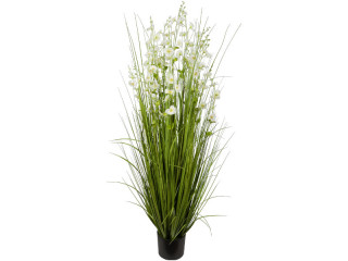 buisson de roseaux "fleur blanche" h 150cm, Ø 80cm en pot