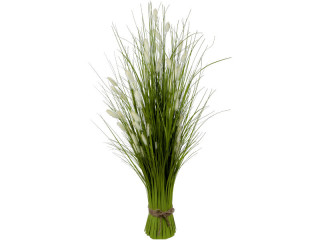 Schilfgrasbündel "lange Blüte" grün/weiss, H 90cm, Ø 50cm