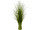 Schilfgrasbündel "lange Blüte" grün/weiss, H 90cm, Ø 50cm