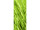 Textilbanner "Grashalme" grün 75 x 180cm, Schlauchnaht oben+unten
