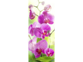 Textilbanner "Orchidee pink" pink/grün...