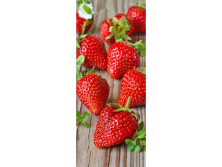 Textilbanner "Erdbeeren auf Holz" rot/grün/braun 75x180cm, Schlauchnaht oben+unten