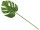 Monsterablatt grün L 78cm, Blatt 25 x 29cm